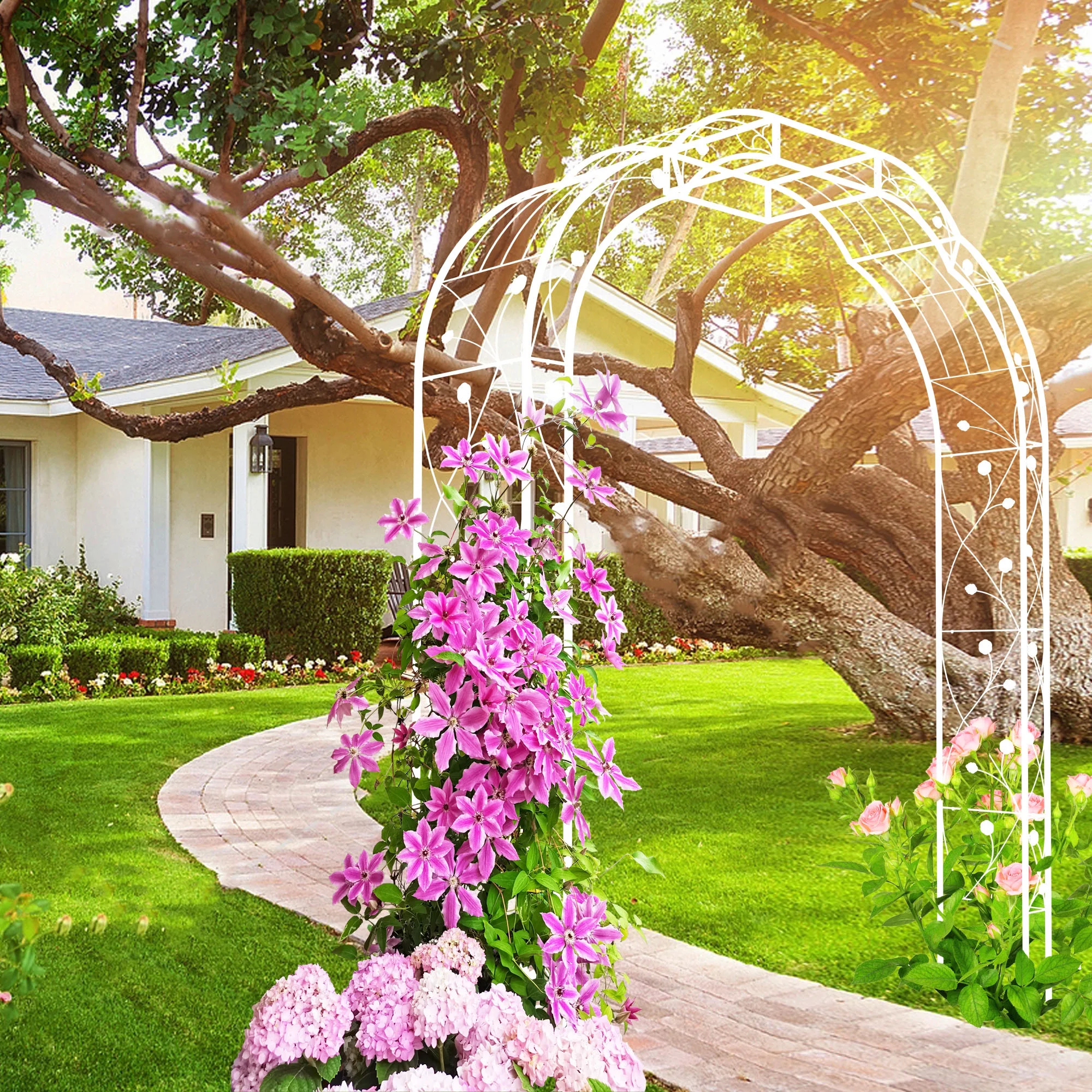 Metal Garden Arch 8.2 Feet High x 6.2 Feet Wide Trellis for Climbing Plants and Outdoor Decor